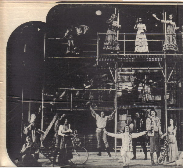 Various - Two Gentlemen Of Verona: A Grand New Musical (Original Broadway Cast Recording) (2xVinyl, LP) Very Good (VG) / Good Plus (G+)