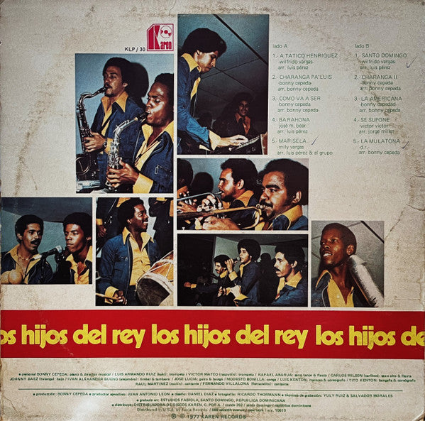 Los Hijos Del Rey - Los Hijos Del Rey Con Fernandito Villalona (Vinyl, LP, Album) Very Good Plus (VG+) / Good Plus (G+)