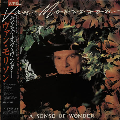 Van Morrison - A Sense Of Wonder (Vinyl, LP, Album)