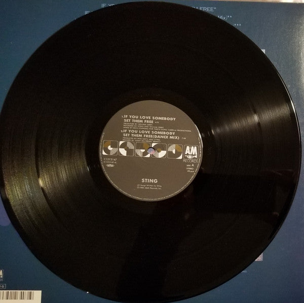 Sting - If You Love Somebody Set Them Free (Vinyl, 12", 45 RPM) Very Good (VG) / Very Good Plus (VG+)