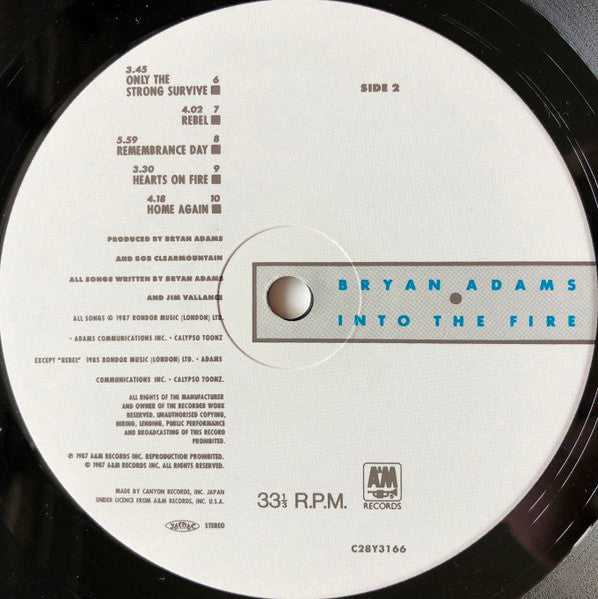 Bryan Adams - Into The Fire (Vinyl, LP, Album, Stereo)
