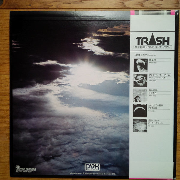 Peter Green (2) - In The Skies (Vinyl, LP, Album)