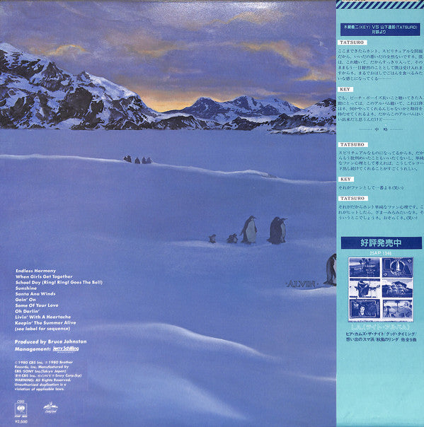 The Beach Boys - Keepin' The Summer Alive = キーピン・ザ・サマー (Vinyl, LP, ...