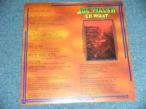 Joe Walsh - So What (Vinyl, LP, Album) Very Good Plus (VG+) / Good Plus (G+)
