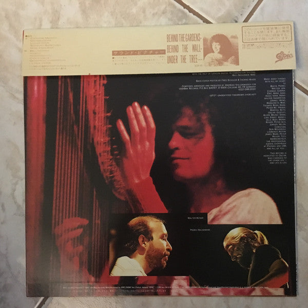Andreas Vollenweider - Caverna Magica (...Under The Tree - In The Cave...) (Vinyl, LP, Album) Very Good Plus (VG+) / Very Good Plus (VG+)