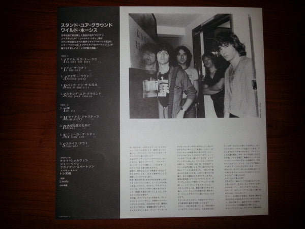 Wild Horses - Stand Your Ground (Vinyl, LP, Album) Near Mint (NM or M-) / Very Good Plus (VG+)