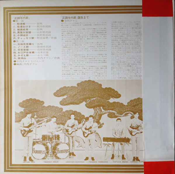Takeshi Terauchi And The Bunnys - 正調寺内(エレキ)節 (Vinyl, LP, Album)