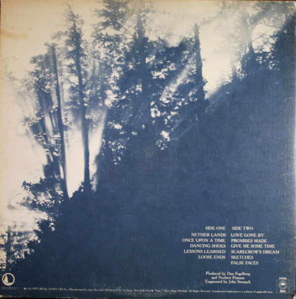 Dan Fogelberg - Nether Lands (Vinyl, LP, Album, Stereo) Very Good (VG) / Very Good Plus (VG+)