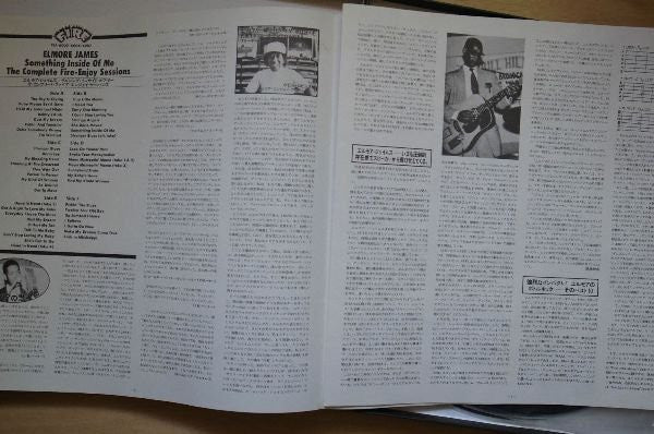 Elmore James - Something Inside Of Me: The Complete Fire-Enjoy Sessions (3xVinyl, Box Set, LP, Compilation) Very Good Plus (VG+) / Very Good Plus (VG+)