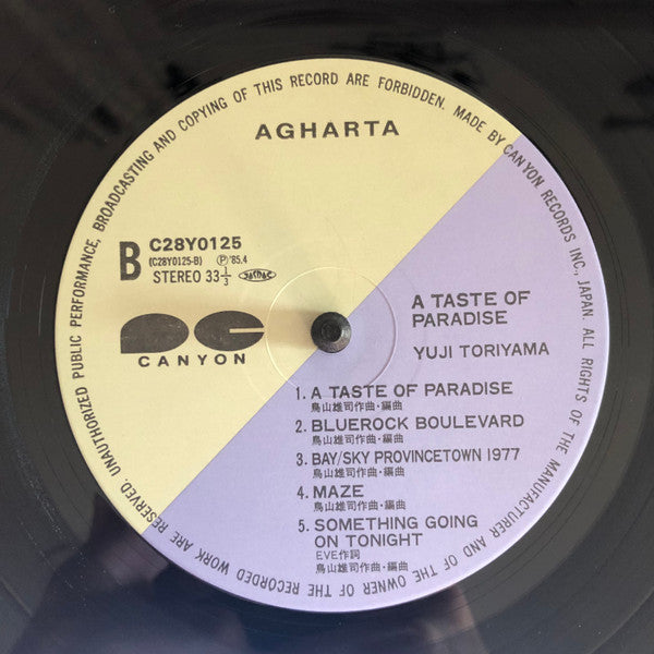 Yuji Toriyama - A Taste Of Paradise (Vinyl, LP, Album)
