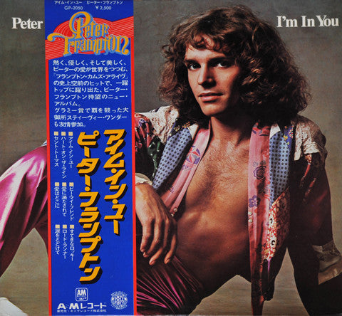 Peter Frampton - I'm In You (Vinyl, LP, Album, Stereo)