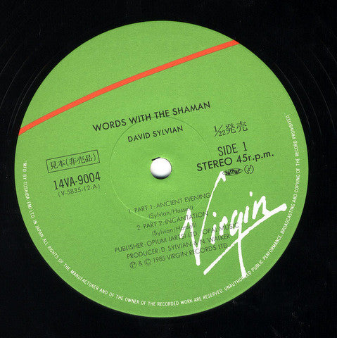 David Sylvian - Words With The Shaman (Vinyl, 12", 33 ⅓ RPM, EP, Promo) Near Mint (NM or M-) / Very Good Plus (VG+)
