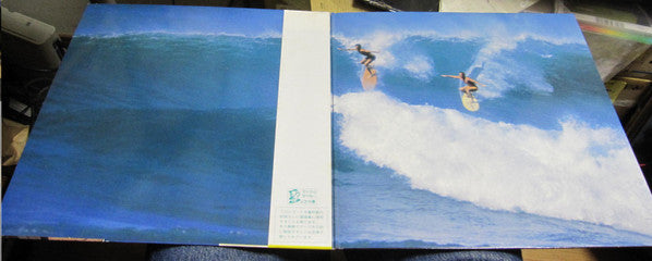 Jan & Dean - Silver Summer (2xVinyl, LP, Album) Very Good Plus (VG+) / Very Good Plus (VG+)