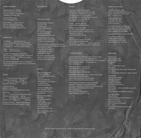 Tom Verlaine - Dreamtime (Vinyl, LP, Album) Good Plus (G+) / Very Good Plus (VG+)