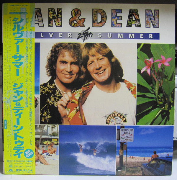 Jan & Dean - Silver Summer (2xVinyl, LP, Album) Very Good Plus (VG+) / Very Good Plus (VG+)
