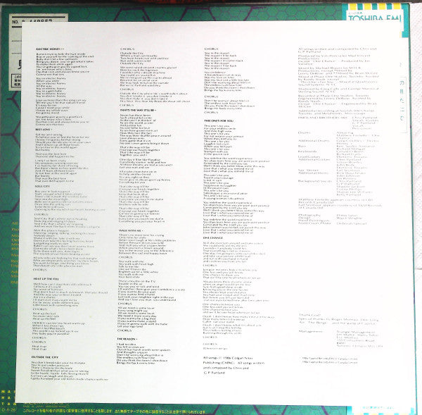 The Partland Brothers - Electric Honey (Vinyl, LP, Promo) Near Mint (NM or M-) / Very Good Plus (VG+)