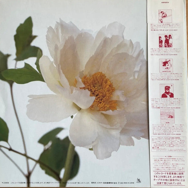 Southern All Stars - 綺麗 = Kirei (Vinyl, LP, Album, Promo, Stereo) Near Mint (NM or M-) / Very Good Plus (VG+)