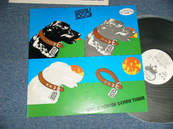 Stray Dog (3) - While You're Down There (Vinyl, LP, Album, Promo) Very Good (VG) / Very Good (VG)