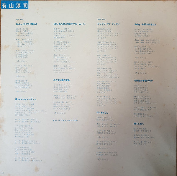 Junji Ariyama - ありのままじゅんじ (Vinyl, LP, Album, Stereo) Near Mint (NM or M-) / Near Mint (NM or M-)