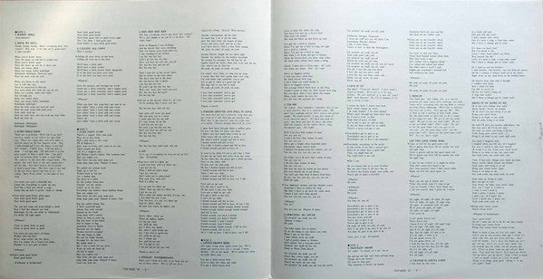 Elvin Bishop - Raisin' Hell (2xVinyl, LP, Album) Very Good Plus (VG+) / Very Good (VG)