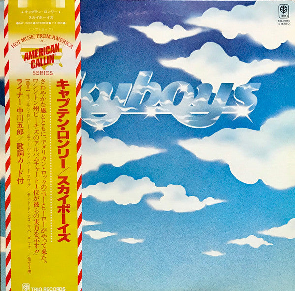 Skyboys - Skyboys (Vinyl, LP, Album, Promo) Very Good (VG) / Good Plus (G+)