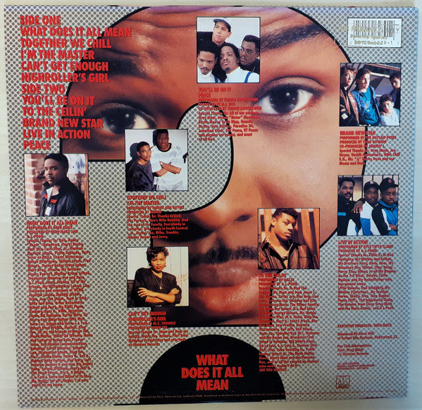 Various - Greg Mack Compilation - What Does It All Mean? (Vinyl, LP, Compilation) Very Good (VG) / Very Good Plus (VG+)