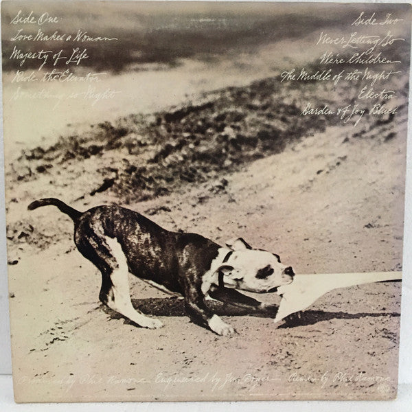 Phoebe Snow - Never Letting Go (Vinyl, LP, Album, Stereo) Very Good Plus (VG+) / Very Good Plus (VG+)