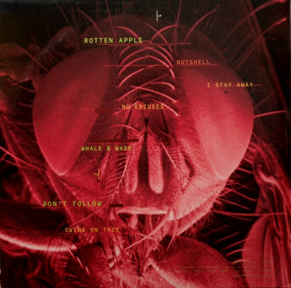 Alice In Chains - Jar Of Flies / Sap (Vinyl, Vinyl, All Media, LP, EP, LP, EP, Single Sided, Etched, Compilation, Limited Edition) Near Mint (NM or M-) / Near Mint (NM or M-)