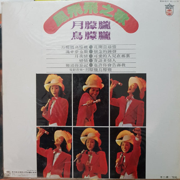 Feng Fei Fei - 月朦朧鳥朦朧 (Vinyl, LP) Very Good Plus (VG+) / Very Good (VG)