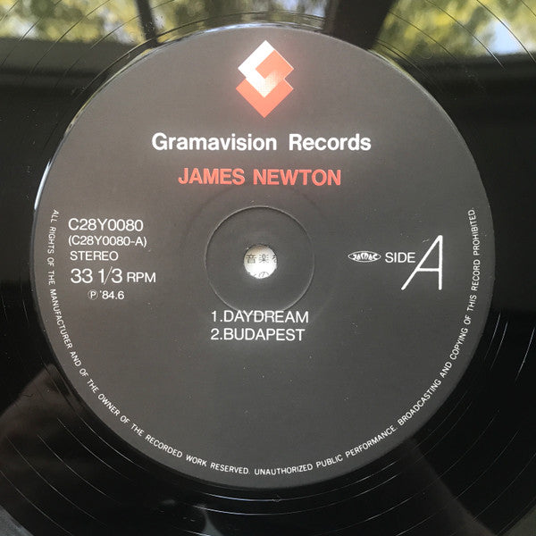 James Newton (2) - James Newton (Vinyl, LP, Album) Very Good Plus (VG+) / Very Good Plus (VG+)