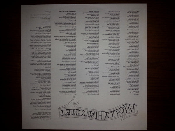 Molly Hatchet - Take No Prisoners (Vinyl, LP, Album) Very Good Plus (VG+) / Very Good Plus (VG+)