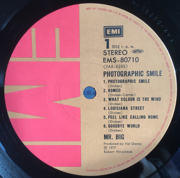 Mr Big - Photographic Smile (Vinyl, LP, Album)