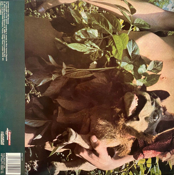 Fleetwood Mac - Mr. Wonderful (Vinyl, LP, Album, Reissue, Stereo) Near Mint (NM or M-) / Near Mint (NM or M-)