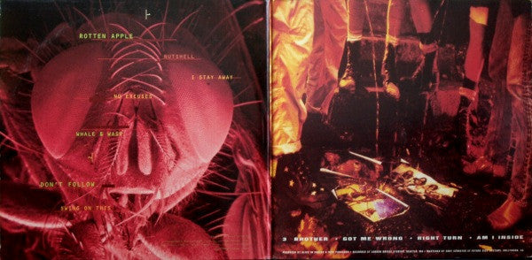 Alice In Chains - Jar Of Flies / Sap (Vinyl, Vinyl, All Media, LP, EP, LP, EP, Single Sided, Etched, Compilation, Limited Edition) Near Mint (NM or M-) / Near Mint (NM or M-)