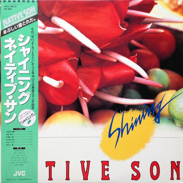 Native Son - Shining (Vinyl, LP, Album)