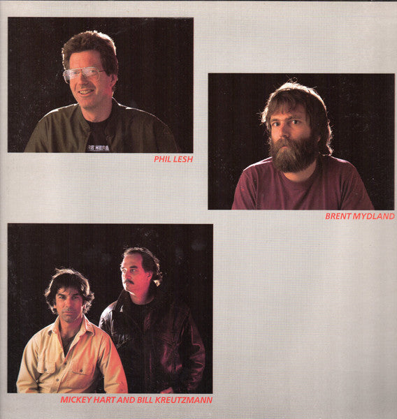 The Grateful Dead - In The Dark (Vinyl, LP, Album, Stereo) Good Plus (G+) / Very Good (VG)
