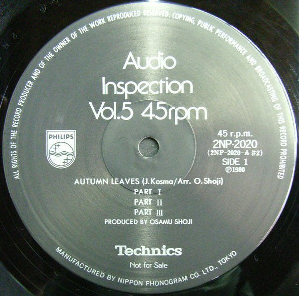 Various - Audio Inspection Vol. 5 (Vinyl, LP, 45 RPM) Very Good Plus (VG+) / Very Good Plus (VG+)