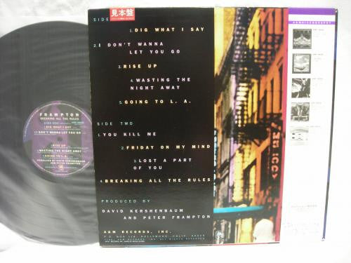 Peter Frampton - Breaking All The Rules (Vinyl, LP, Album, Promo) Very Good Plus (VG+) / Very Good Plus (VG+)