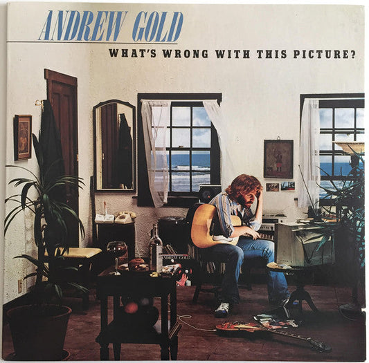 Andrew Gold - What's Wrong With This Picture? (Vinyl, LP, Album, Stereo) Very Good Plus (VG+) / Very Good (VG)
