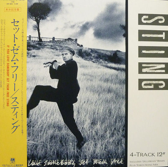 Sting - If You Love Somebody Set Them Free (Vinyl, 12", 45 RPM) Near Mint (NM or M-) / Very Good Plus (VG+)