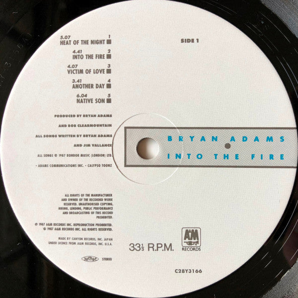 Bryan Adams - Into The Fire (Vinyl, LP, Album, Stereo)