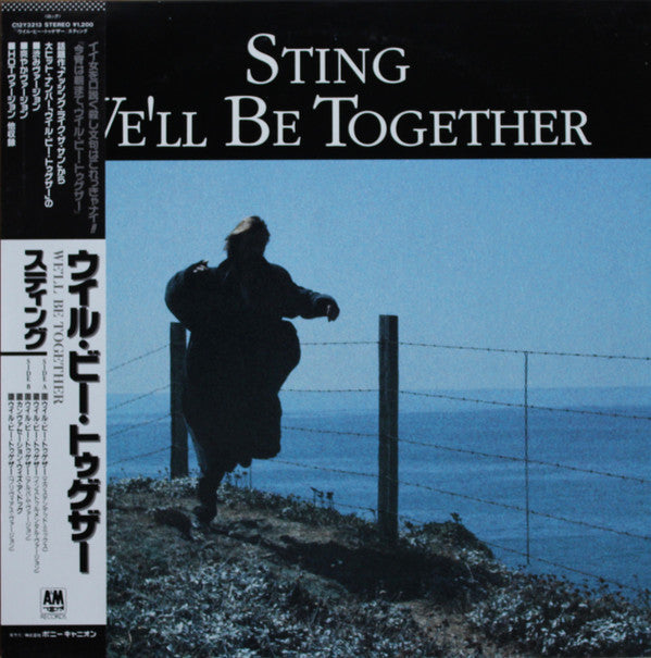 Sting - We'll Be Together (Vinyl, 12") Very Good (VG) / Very Good (VG)