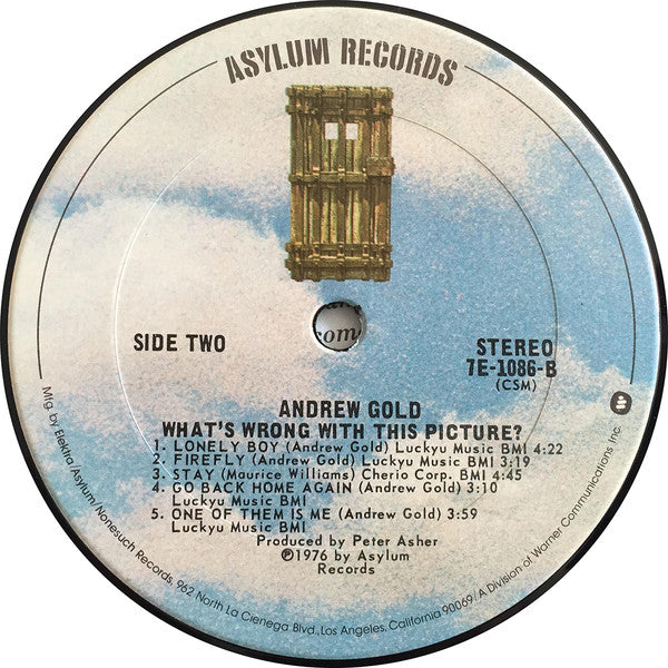 Andrew Gold - What's Wrong With This Picture? (Vinyl, LP, Album, Stereo) Very Good (VG) / Very Good Plus (VG+)