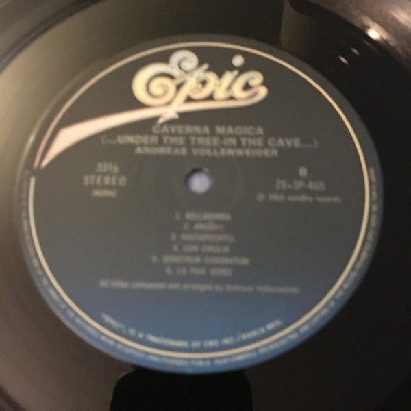 Andreas Vollenweider - Caverna Magica (...Under The Tree - In The Cave...) (Vinyl, LP, Album) Very Good Plus (VG+) / Very Good Plus (VG+)