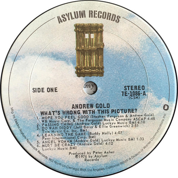 Andrew Gold - What's Wrong With This Picture? (Vinyl, LP, Album, Stereo) Very Good Plus (VG+) / Very Good (VG)