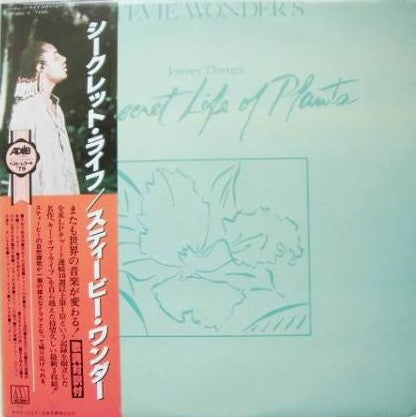 Stevie Wonder - Journey Through The Secret Life Of Plants (Vinyl, L...