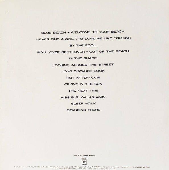 Steve Hiett - Down On The Road By The Beach (Vinyl, LP, Album) Near Mint (NM or M-) / Near Mint (NM or M-)