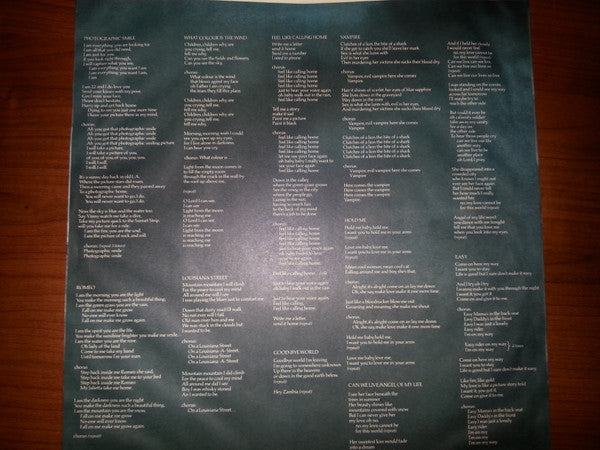Mr Big - Photographic Smile (Vinyl, LP, Album)