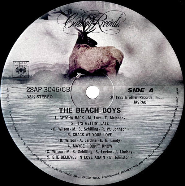The Beach Boys - The Beach Boys (Vinyl, LP, Album) Very Good (VG) / Very Good (VG)
