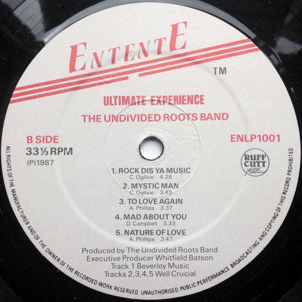 Undivided Roots - Ultimate Experience (Vinyl, LP, Album) Very Good Plus (VG+) / Very Good (VG)